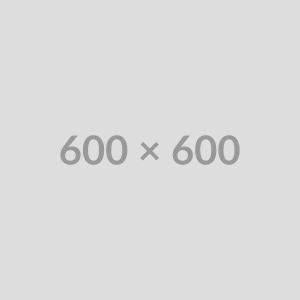 Smart Home Speaker